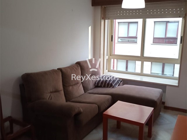 APARTAMENTO 1 DORMITORIO EN MILLADOIRO - Ames