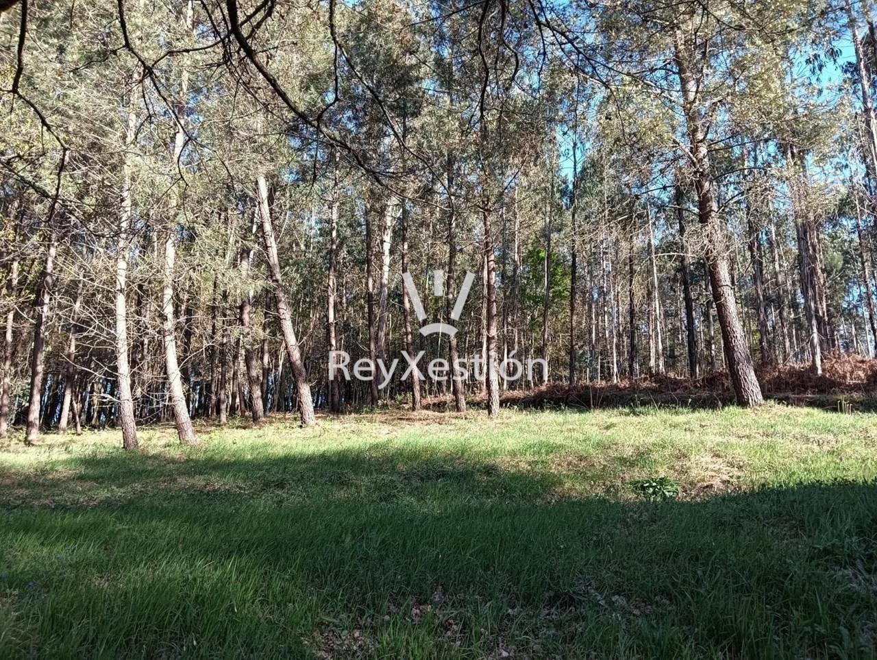 Foto 6 CHALET DE ENSUEÑO - VEDRA (20 min. de Santiago de Compostela)