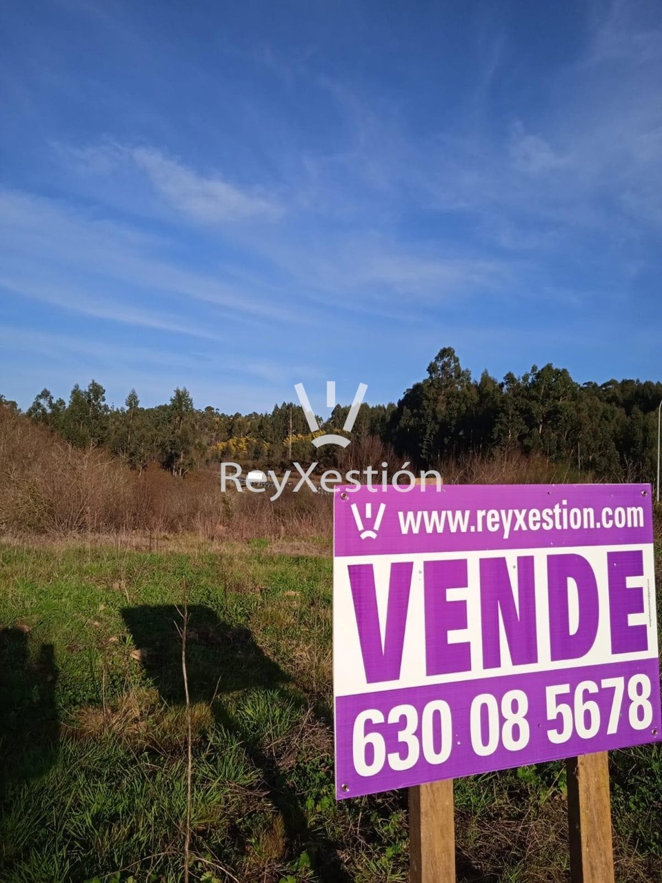 Foto 1 Terreno en venta Ponte do Romaño