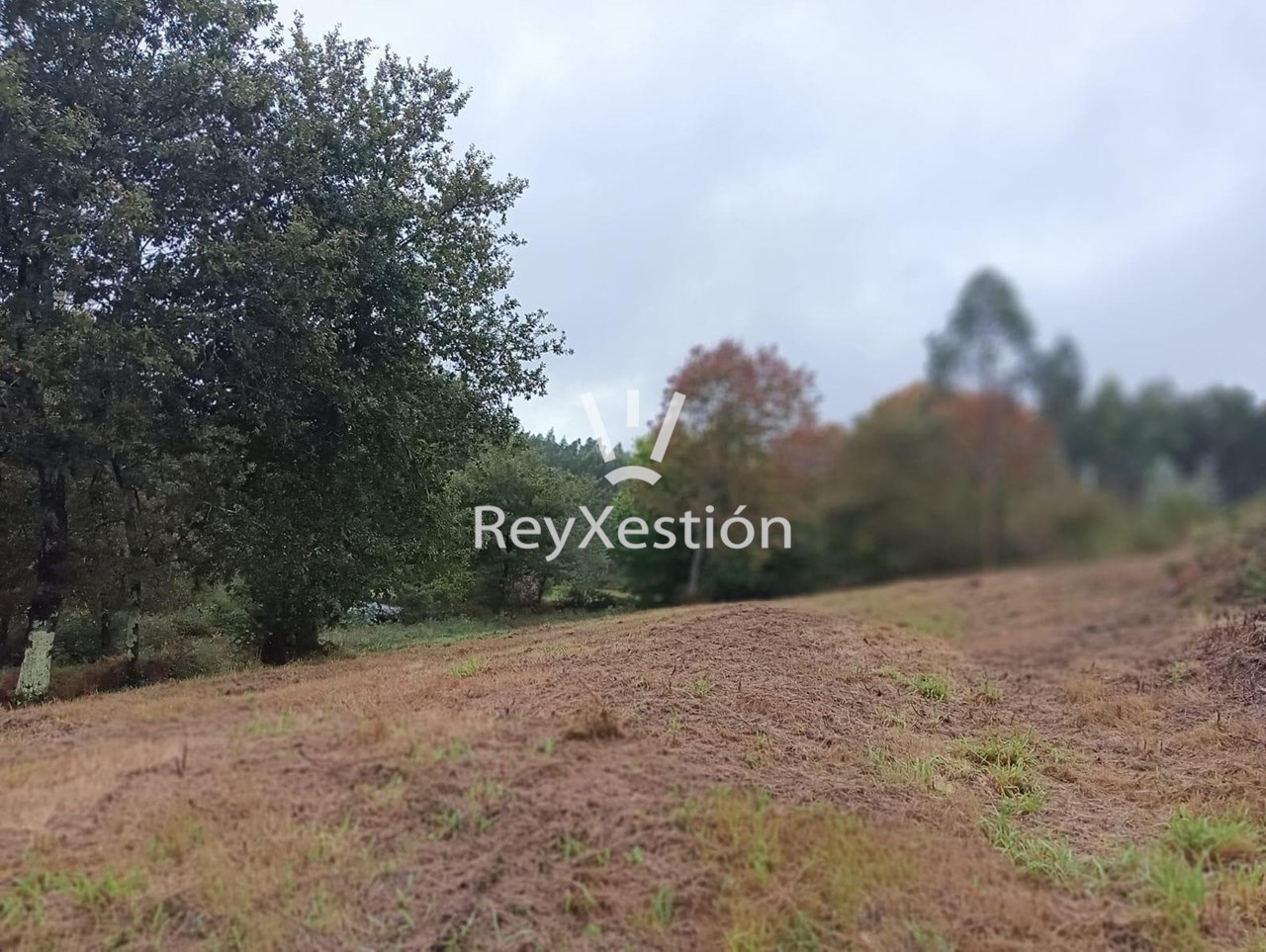 Foto 7 VÉNDESE CASA UNIFAMILIAR en Cortegada, Ames (A Coruña)